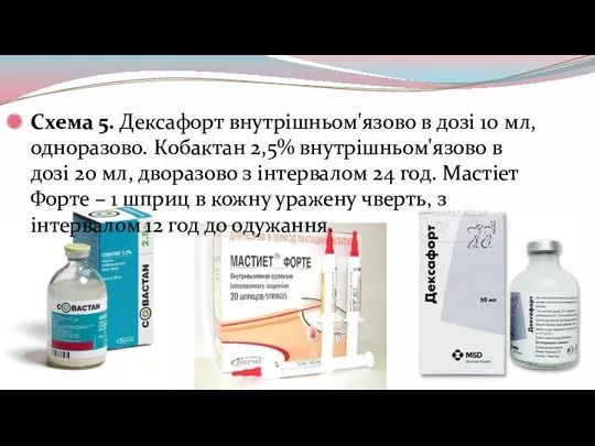 Схема 5. Дексафорт внутрішньом'язово в дозі 10 мл, одноразово. Кобактан