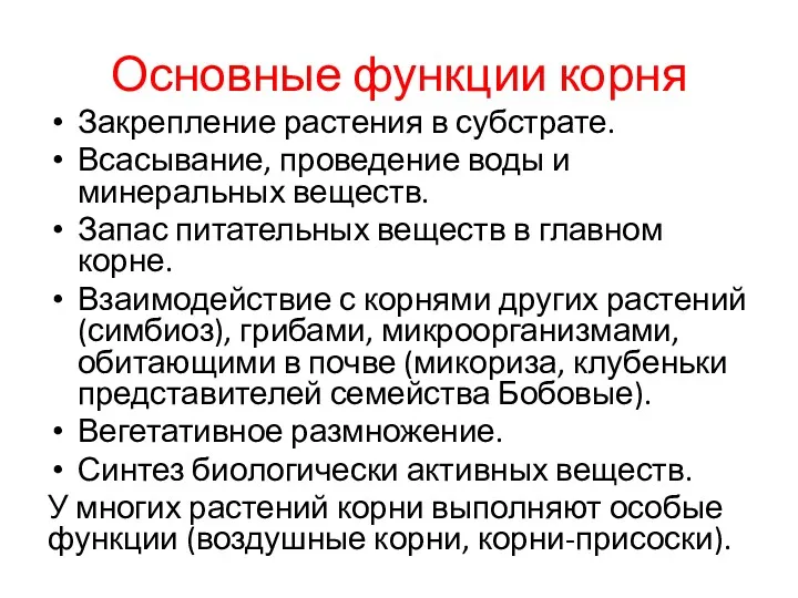 Основные функции корня Закрепление растения в субстрате. Всасывание, проведение воды