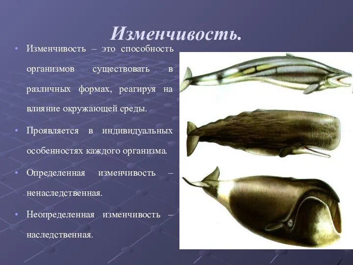 Изменчивость. Изменчивость – это способность организмов существовать в различных формах,