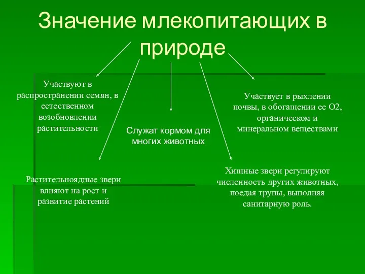 Значение млекопитающих в природе Участвуют в распространении семян, в естественном