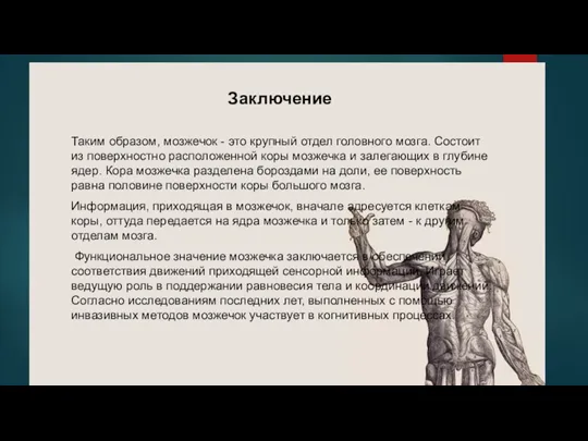 Заключение Таким образом, мозжечок - это крупный отдел головного мозга. Состоит из поверхностно