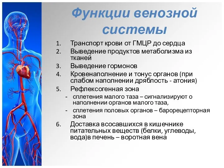 Функции венозной системы Транспорт крови от ГМЦР до сердца Выведение