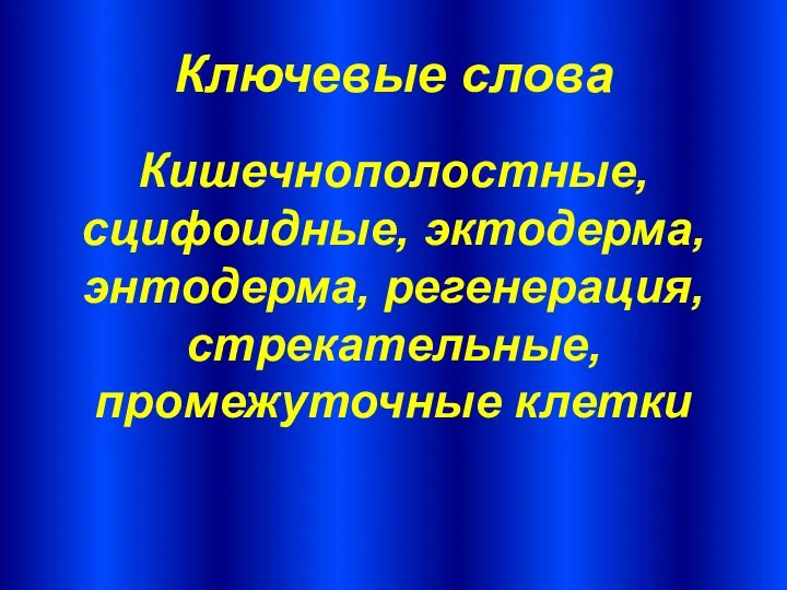 Ключевые слова Кишечнополостные, сцифоидные, эктодерма, энтодерма, регенерация, стрекательные, промежуточные клетки