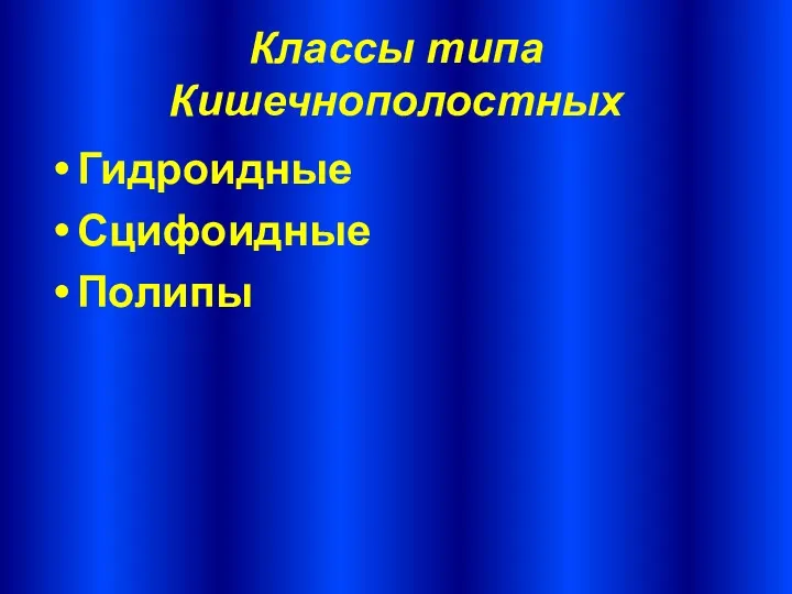 Классы типа Кишечнополостных Гидроидные Сцифоидные Полипы