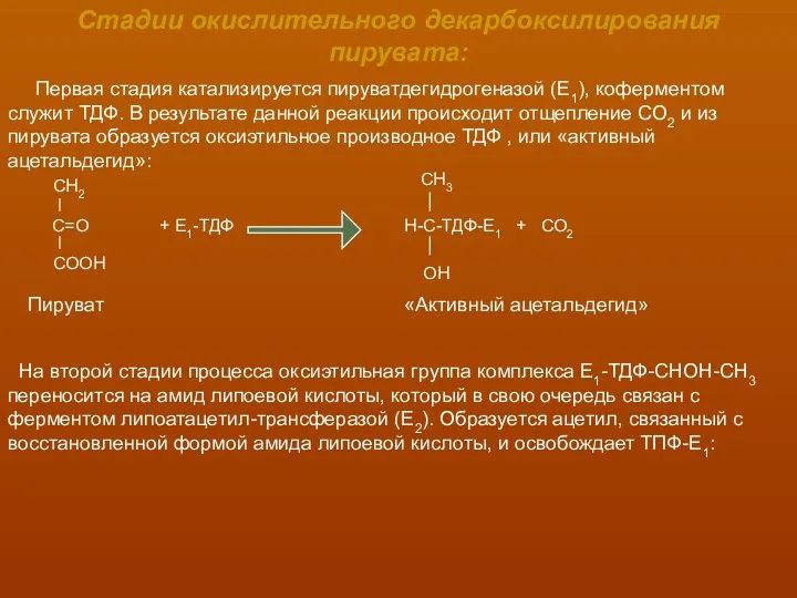 Стадии окислительного декарбоксилирования пирувата: Первая стадия катализируется пируватдегидрогеназой (Е1), коферментом