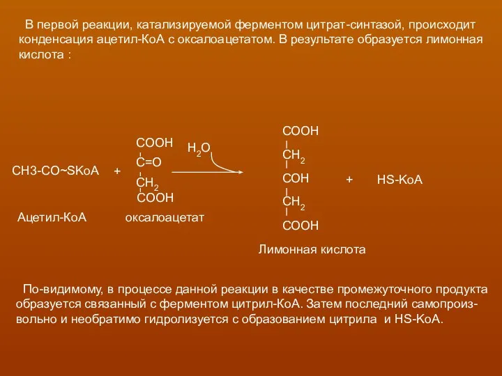 В первой реакции, катализируемой ферментом цитрат-синтазой, происходит конденсация ацетил-КоА с