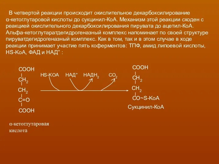 В четвертой реакции происходит окислительное декарбоксилирование α-кетоглутаровой кислоты до сукцинил-КоА.