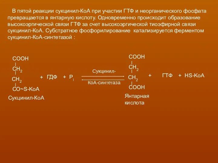 В пятой реакции сукцинил-КоА при участии ГТФ и неорганического фосфата