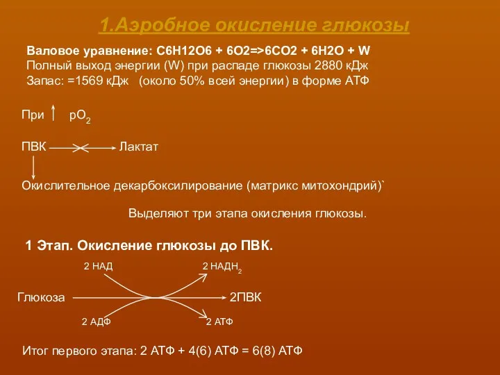 1.Аэробное окисление глюкозы Валовое уравнение: C6H12O6 + 6O2=>6CO2 + 6H2O