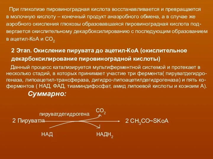 При гликолизе пировиноградная кислота восстанавливается и превращается в молочную кислоту