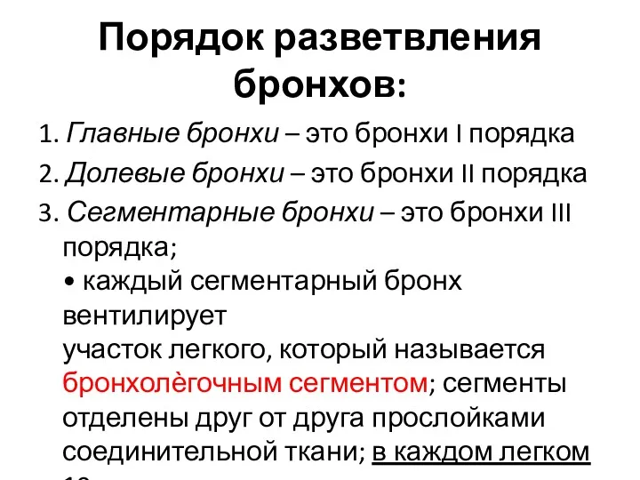 Порядок разветвления бронхов: 1. Главные бронхи – это бронхи I порядка 2. Долевые