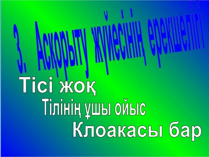 3. Асқорыту жүйесінің ерекшелігі Тісі жоқ Тілінің ұшы ойыс Клоакасы бар