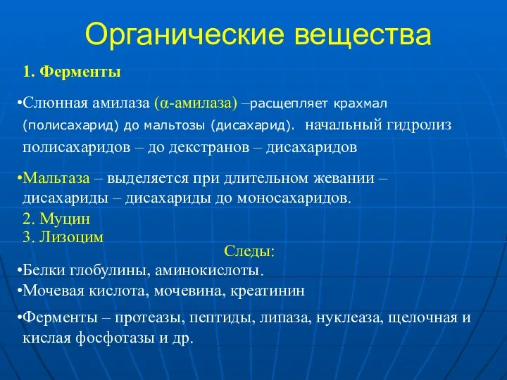 Органические вещества 1. Ферменты Слюнная амилаза (α-амилаза) –расщепляет крахмал (полисахарид)