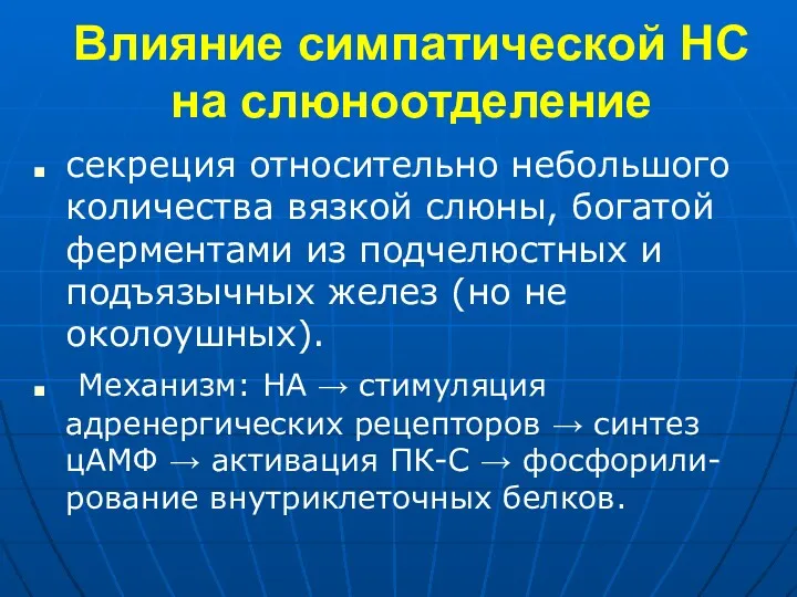 Влияние симпатической НС на слюноотделение секреция относительно небольшого количества вязкой