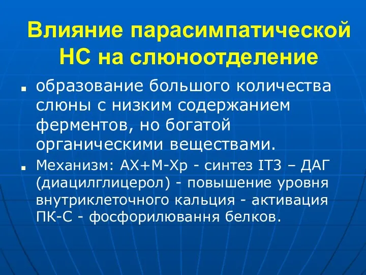 Влияние парасимпатической НС на слюноотделение образование большого количества слюны с