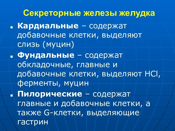 Секреторные железы желудка Кардиальные – содержат добавочные клетки, выделяют слизь