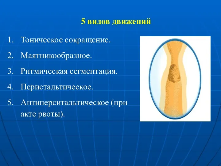 5 видов движений Тоническое сокращение. Маятникообразное. Ритмическая сегментация. Перистальтическое. Антиперситальтическое (при акте рвоты).