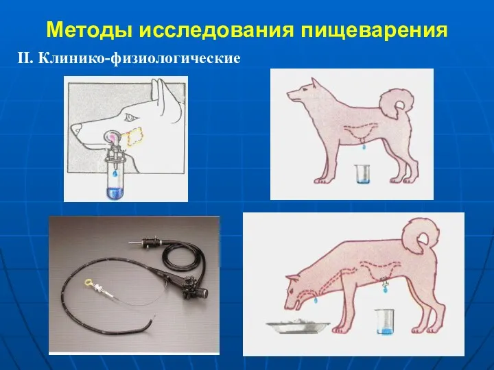 Методы исследования пищеварения ІІ. Клинико-физиологические