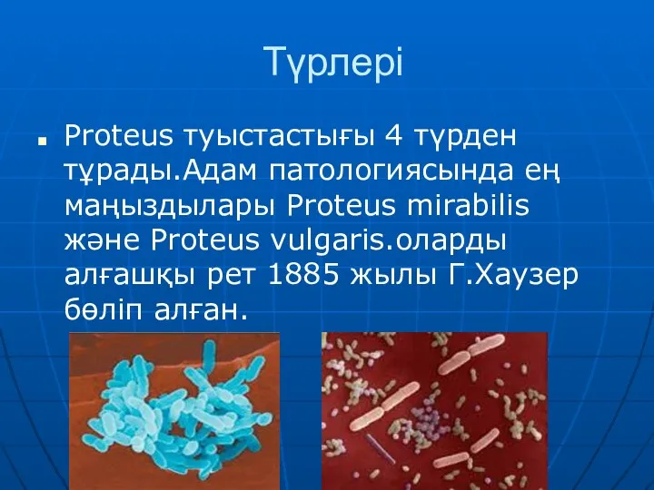 Түрлері Proteus туыстастығы 4 түрден тұрады.Адам патологиясында ең маңыздылары Proteus