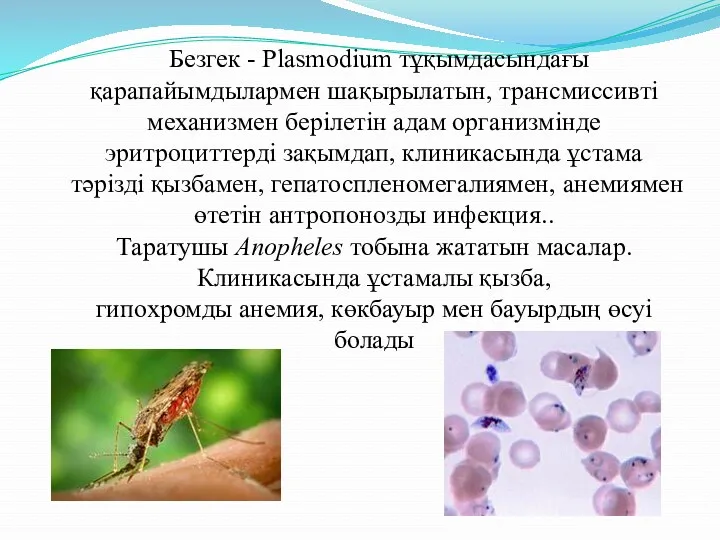 Безгек - Plasmodium тұқымдасындағы қарапайымдылармен шақырылатын, трансмиссивті механизмен берілетін адам организмінде эритроциттерді зақымдап,