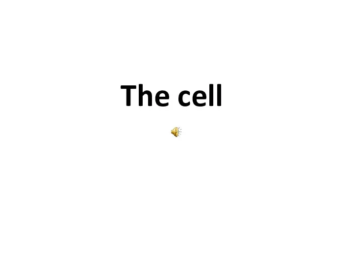 Vesicular nucleus in liver cells The cell