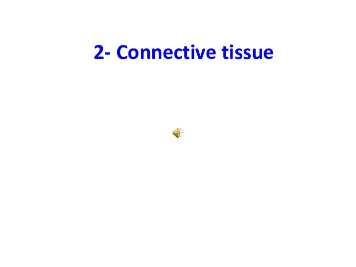 2- Connective tissue