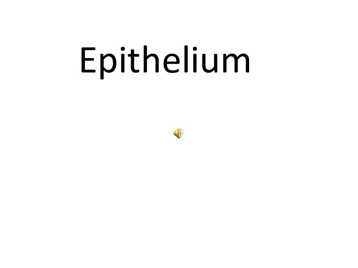 Epithelium