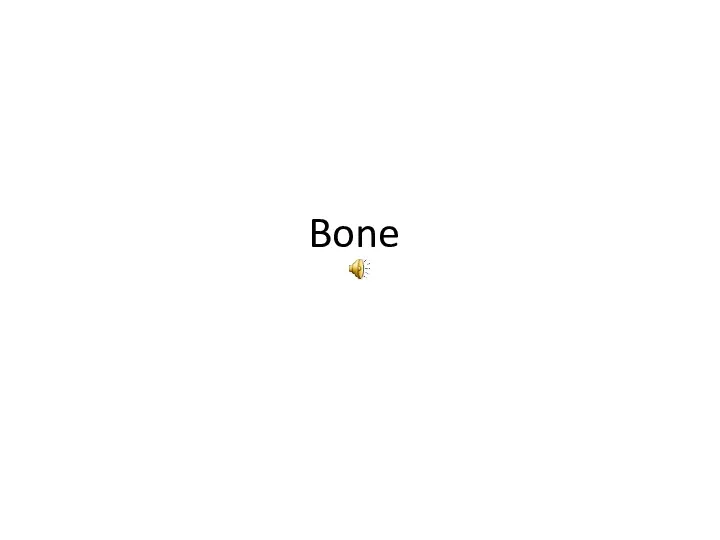 Bone