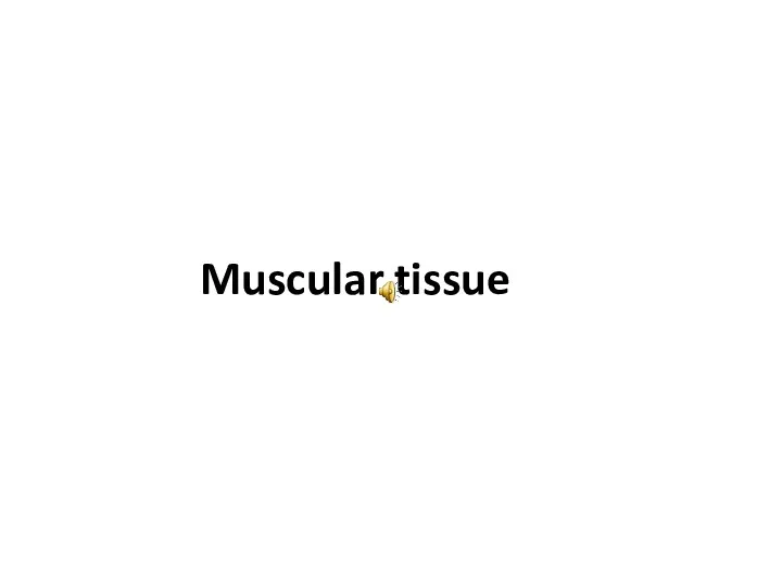 Muscular tissue