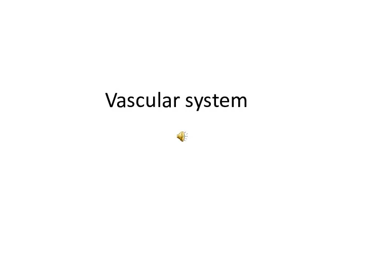 Vascular system