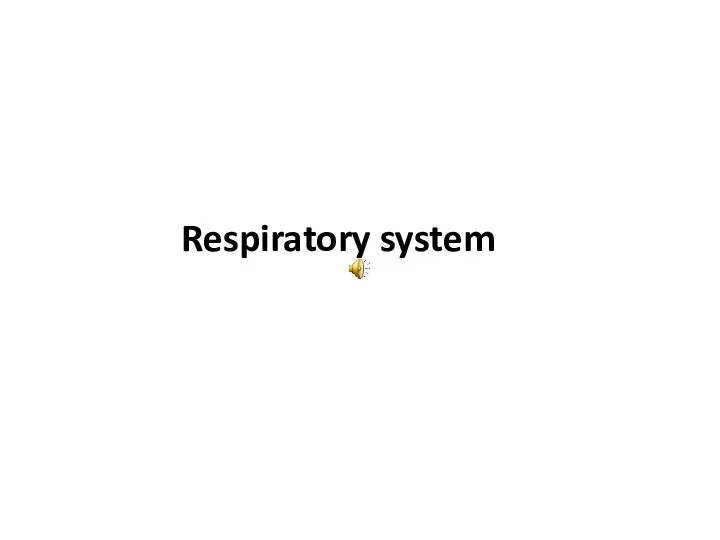 Respiratory system