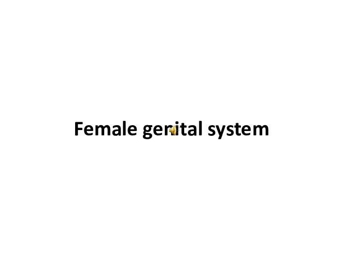 Female genital system