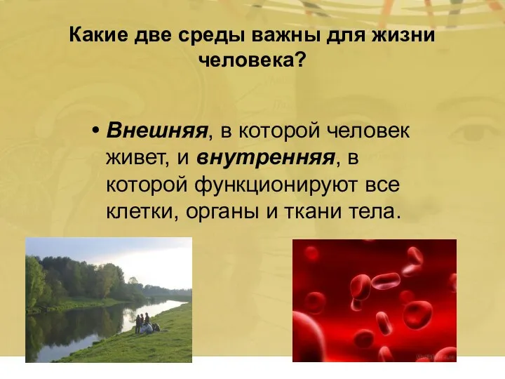 Какие две среды важны для жизни человека? Внешняя, в которой