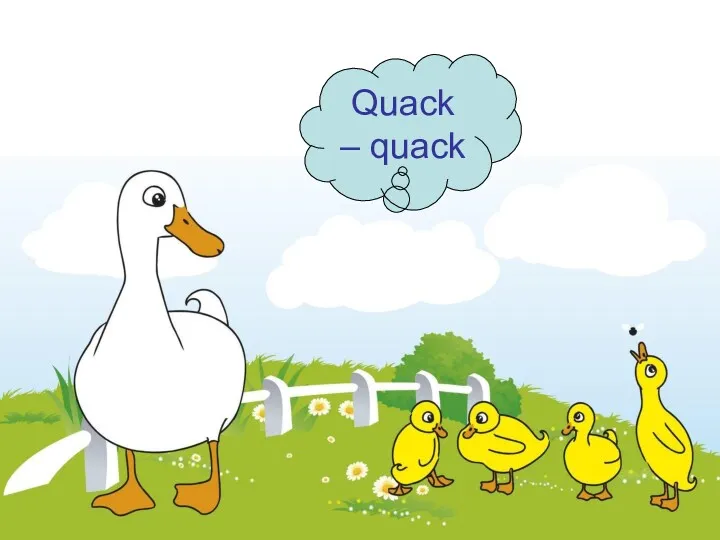Quack – quack
