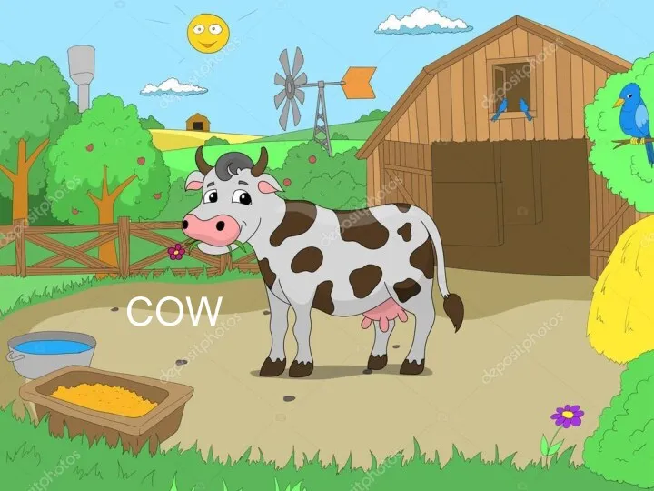 COW