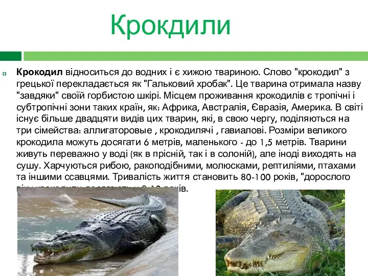 Крокдили Крокодил відноситься до водних і є хижою твариною. Слово