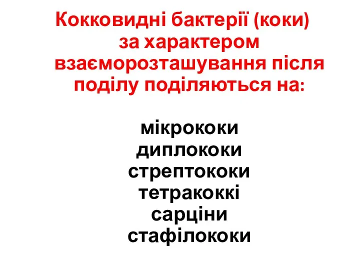 Кокковидні бактерії (коки) за характером взаєморозташування після поділу поділяються на: мікрококи диплококи стрептококи тетракоккі сарціни стафілококи