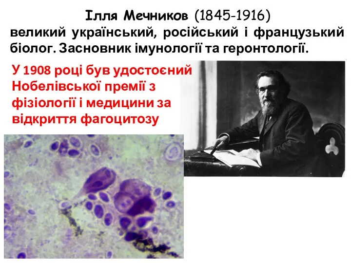 Ілля Мечников (1845-1916) великий український, російський і французький біолог. Засновник імунології та геронтології.