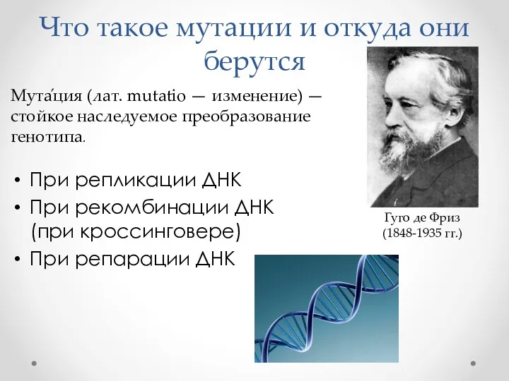 Что такое мутации и откуда они берутся При репликации ДНК