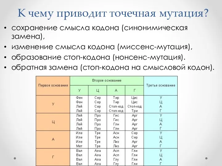 К чему приводит точечная мутация? сохранение смысла кодона (синонимическая замена),