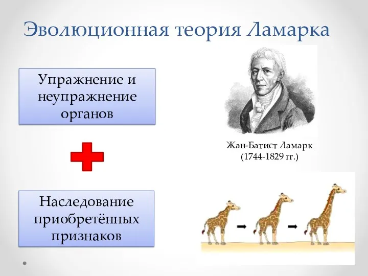 Эволюционная теория Ламарка Упражнение и неупражнение органов Наследование приобретённых признаков Жан-Батист Ламарк (1744-1829 гг.)