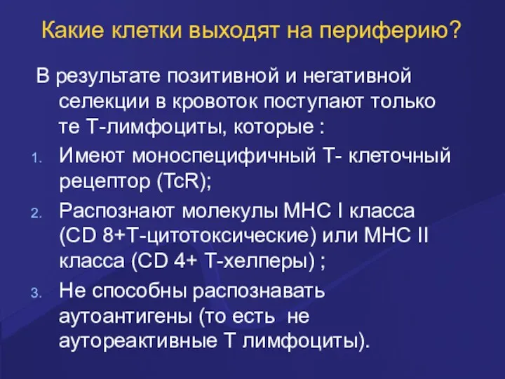 Какие клетки выходят на периферию? В результате позитивной и негативной