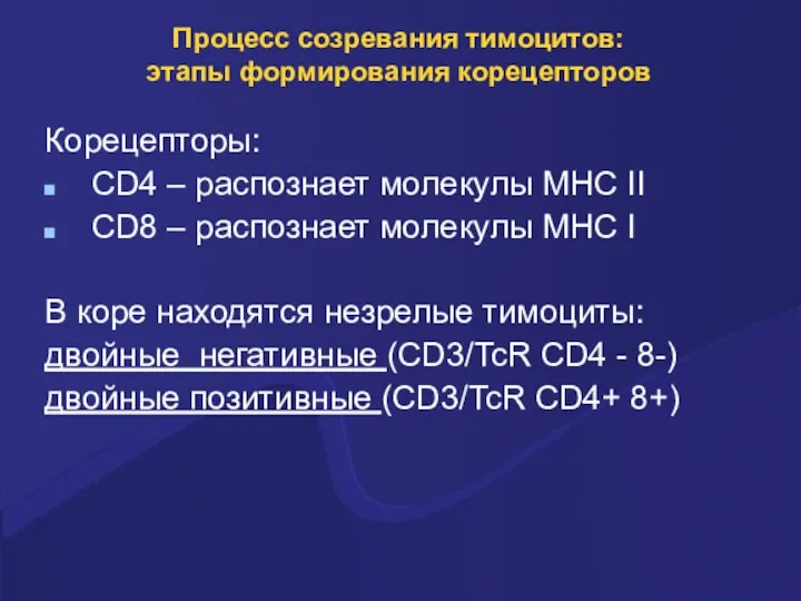 Процесс созревания тимоцитов: этапы формирования корецепторов Корецепторы: CD4 – распознает