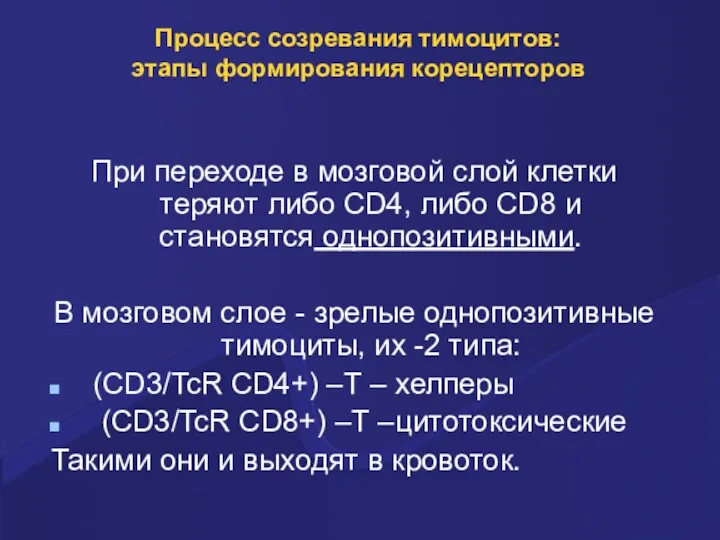 Процесс созревания тимоцитов: этапы формирования корецепторов При переходе в мозговой