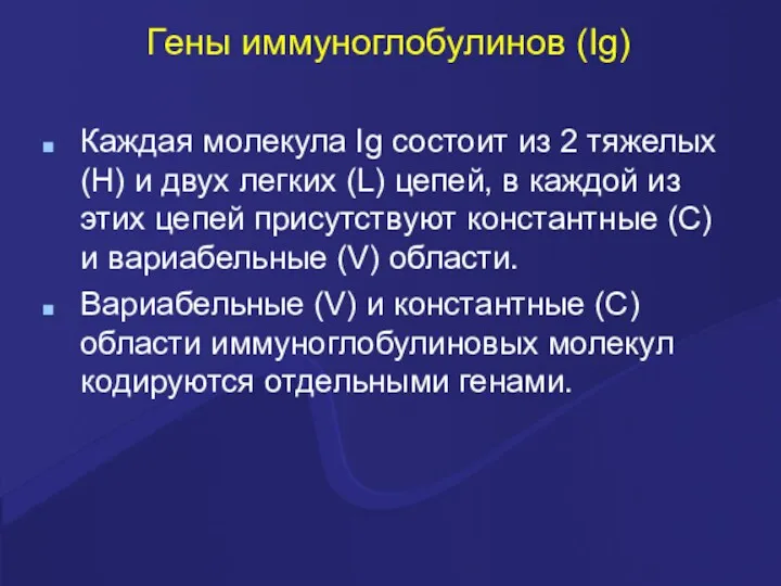 Гены иммуноглобулинов (Ig) Каждая молекула Ig состоит из 2 тяжелых