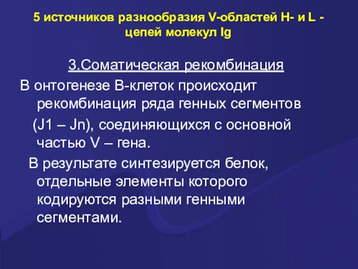 5 источников разнообразия V-областей Н- и L -цепей молекул Ig