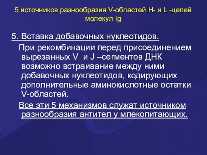 5 источников разнообразия V-областей Н- и L -цепей молекул Ig