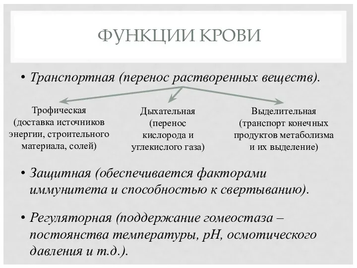 ФУНКЦИИ КРОВИ Транспортная (перенос растворенных веществ). Трофическая (доставка источников энергии,