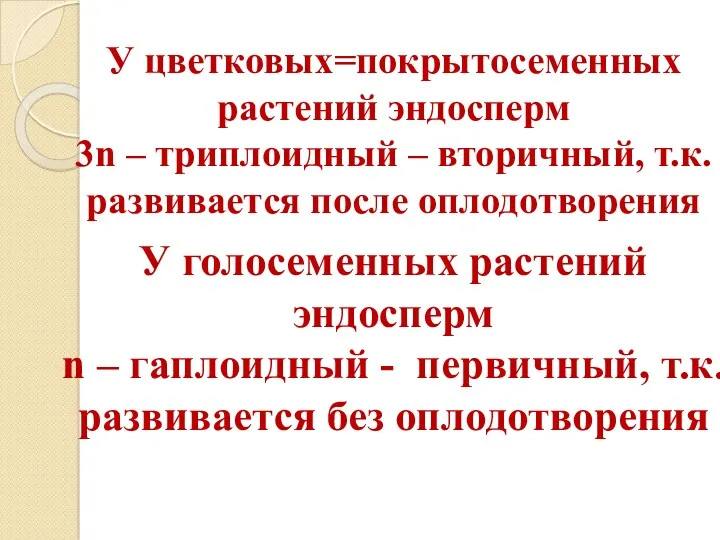 У цветковых=покрытосеменных растений эндосперм 3n – триплоидный – вторичный, т.к.