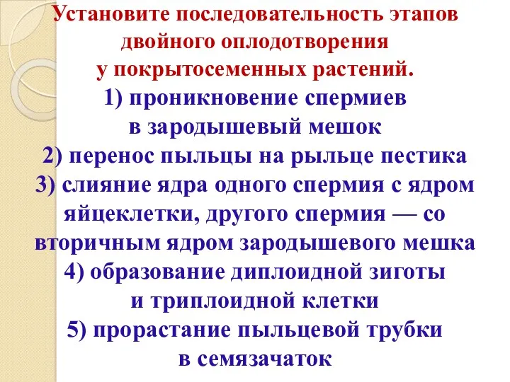 Установите последовательность этапов двойного оплодотворения у покрытосеменных растений. 1) проникновение